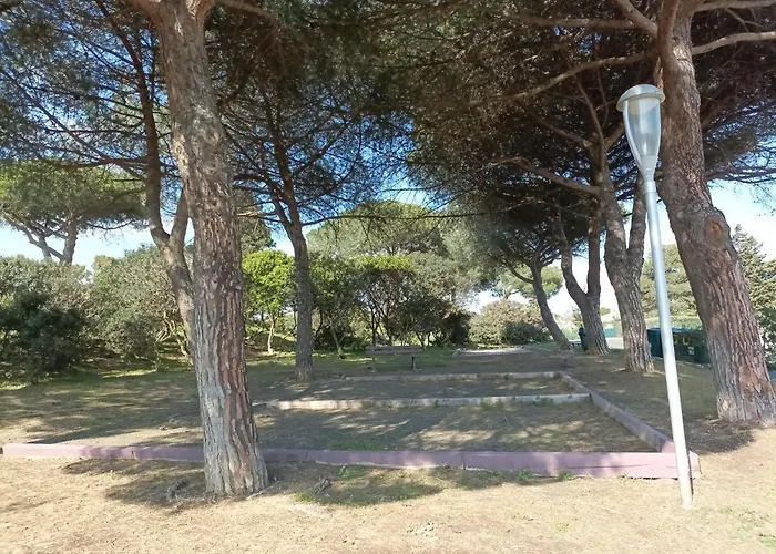 Les Locations De Lara Iv - T2 Spacieux Parking Privatif Près Port, Plage, Ile Des Loisirs Appartamento